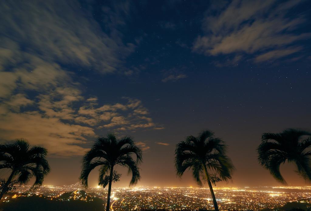 קינגסטון City View Hotel מראה חיצוני תמונה